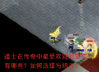 ��ʿ�ڴ��������ܻ�ӭ�ı�������Щ�����ѡ����������