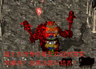 ��ʿ�ڴ��������ܻ�ӭ�ı�������Щ�����ѡ����������