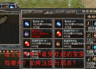 ��ʿ�ڴ��������ܻ�ӭ�ı�������Щ�����ѡ����������