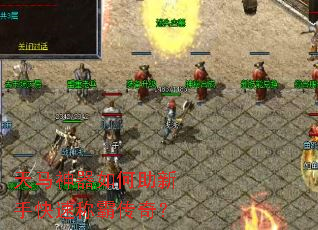 ����������������ֿ��ٳưԴ��棿