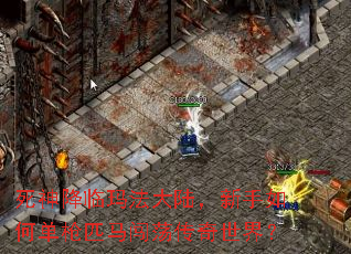 死神降临玛法大陆,新手如何单枪匹马闯荡传奇世界? 死神降临玛法大陆,新手如何单枪匹马闯荡传奇世界?