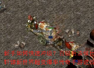 ������ο��ٳ弶���ټ������ʲô����ԯ�����糬�䱬�ʴ������ν���ָ��