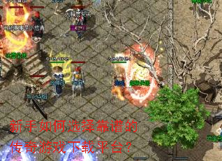 �������ѡ���׵Ĵ�����Ϸ����ƽ̨��