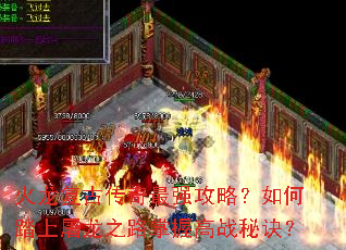 �������Ŵ�����ǿ���ԣ����̤������֮·���ո�ս�ؾ���