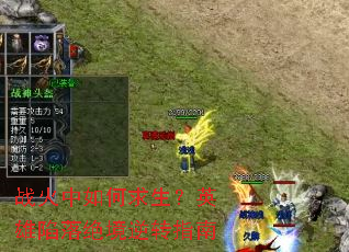 ս�������������Ӣ�����������תָ��