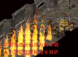 ��ο���������Ϊ������������������ؼ�ȫ����