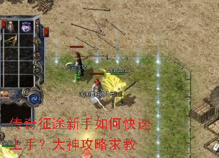 ������;������ο������֣����������