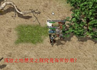 ����֮�ؽ���֮ƿ�����к����ã�