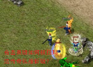 �ϻ�Ӣ����κ�ɨ�귨����˽���°棿