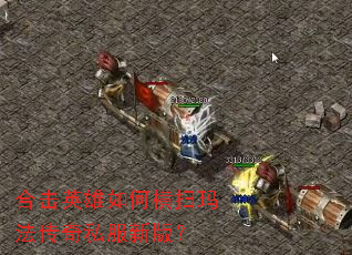 �ϻ�Ӣ����κ�ɨ�귨����˽���°棿