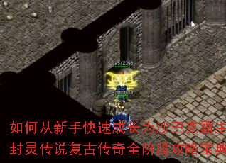 ��δ����ֿ��ٳɳ�Ϊɳ�Ϳ˰��������鴫˵���Ŵ���ȫ�׶ι��Ա���