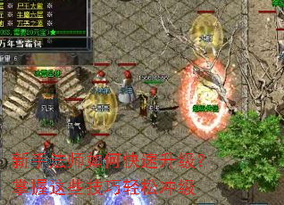 ���ַ�ʦ��ο���������������Щ�������ɳ弶