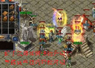 ���ַ�ʦ��ο���������������Щ�������ɳ弶