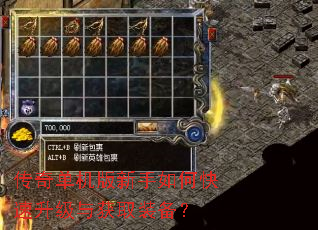 传奇单机版新手如何快速升级与获取装备? 传奇单机版新手如何快速升级与获取装备?
