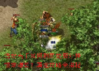 传奇高手如何利用免费外挂锁定爆装?屠龙攻略全揭秘 传奇高手如何利用免费外挂锁定爆装?屠龙攻略全揭秘