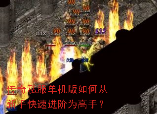 ����˽����������δ����ֿ��ٽ���Ϊ���֣�