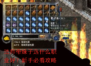 ��ʦ������ѡʲôְҵ�ã����ֱؿ�����