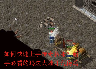 如何快速上手传奇私服?新手必看的玛法大陆开荒秘籍 如何快速上手传奇私服?新手必看的玛法大陆开荒秘籍