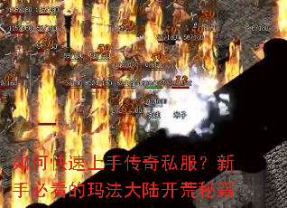 如何快速上手传奇私服?新手必看的玛法大陆开荒秘籍 如何快速上手传奇私服?新手必看的玛法大陆开荒秘籍