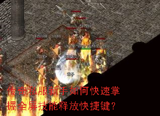 ����˽��������ο�������ȫ�������ͷſ�ݼ���