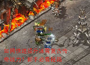 ��ο���������ѩ���Ŵ���ս�������ֱؿ��ؼ�