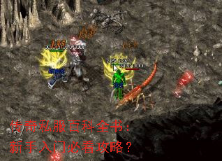 ����˽���ٿ�ȫ�飺�������űؿ����ԣ�