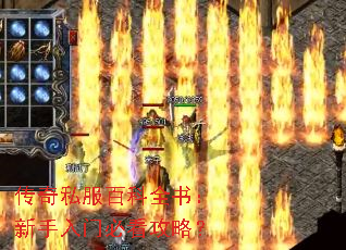 ����˽���ٿ�ȫ�飺�������űؿ����ԣ�