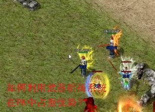 ���������������ϵͳ��PK��ռ�����ƣ�