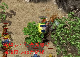 ����ƣ������·���ǿ�����ؼ������