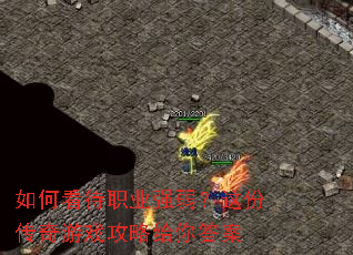 ��ο���ְҵǿ������ݴ�����Ϸ���Ը����