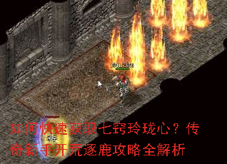 ��ο��ٻ�ȡ���������ģ��������ֿ�����¹����ȫ����