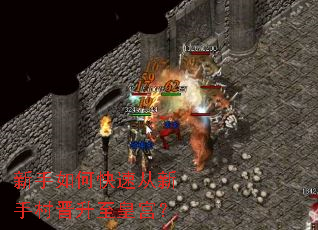 新手如何快速从新手村晋升至皇宫? 新手如何快速从新手村晋升至皇宫?