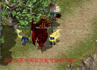 ��ο��ٽ��߼�����������������