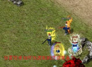 ����������ο���ˢ������װ����