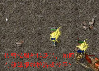 ����˽����ҷ��ģ������Ч�ٱ�ά����Ϸ��ƽ��