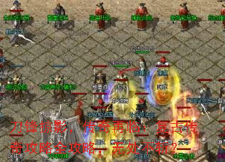 ������Ӱ���������٣����Ŵ��湥��ȫ���ԣ��޴���ն��