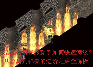 ��;����˽��������ο����������Ӳ�������Ľ���֮·ȫ����