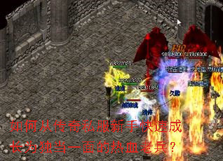 如何从传奇私服新手快速成长为独当一面的热血老兵? 如何从传奇私服新手快速成长为独当一面的热血老兵?