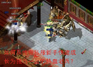 如何从传奇私服新手快速成长为独当一面的热血老兵? 如何从传奇私服新手快速成长为独当一面的热血老兵?