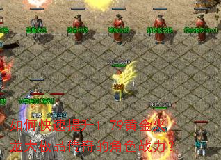 ��ο�������1.79�ƽ������Ʒ����Ľ�ɫս����