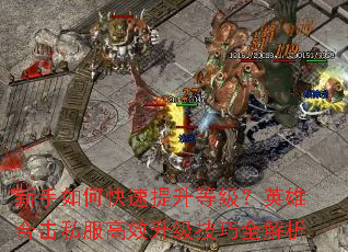 ������ο��������ȼ���Ӣ�ۺϻ�˽����Ч��������ȫ����