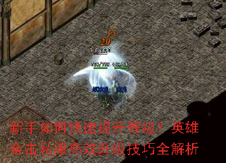 ������ο��������ȼ���Ӣ�ۺϻ�˽����Ч��������ȫ����