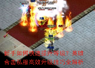 ������ο��������ȼ���Ӣ�ۺϻ�˽����Ч��������ȫ����