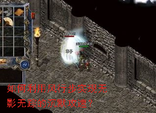 ������÷��в�ʵ����Ӱ���ٵĳ�Ĭ���٣�