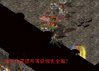 ��ο��������ȼ�����ȫ����