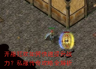 ��������ο�������ս����˽�����湥��ȫ����