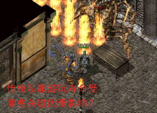 ����˽��������������Щ�ؼ�����Ӱ�죿