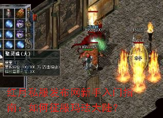 ����˽����������������ָ�ϣ���������귩��½��