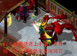 ������ο���������������棿������������߳�����