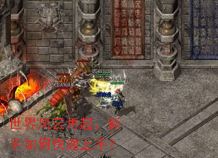 �����������������ο������֣�